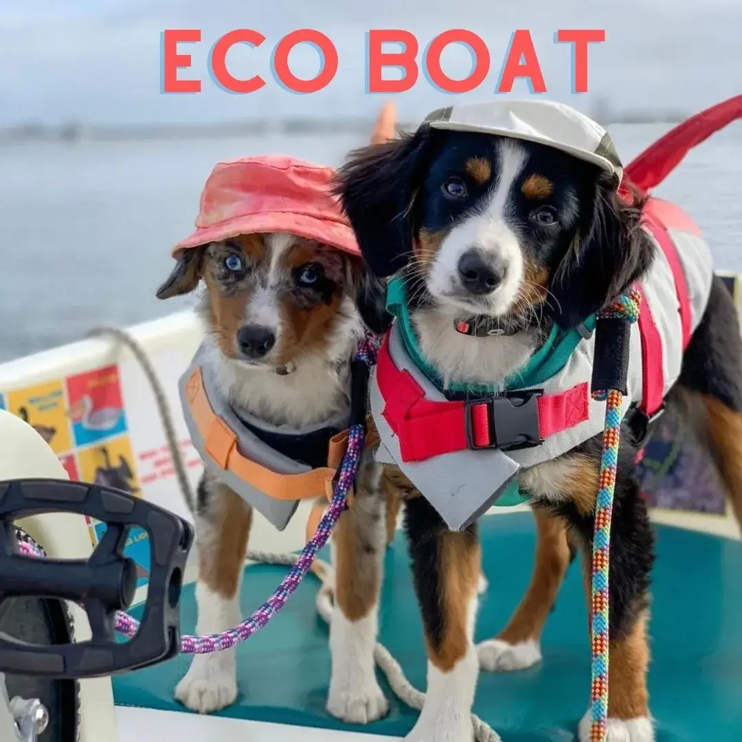 PEDAL BOAT RENTALS