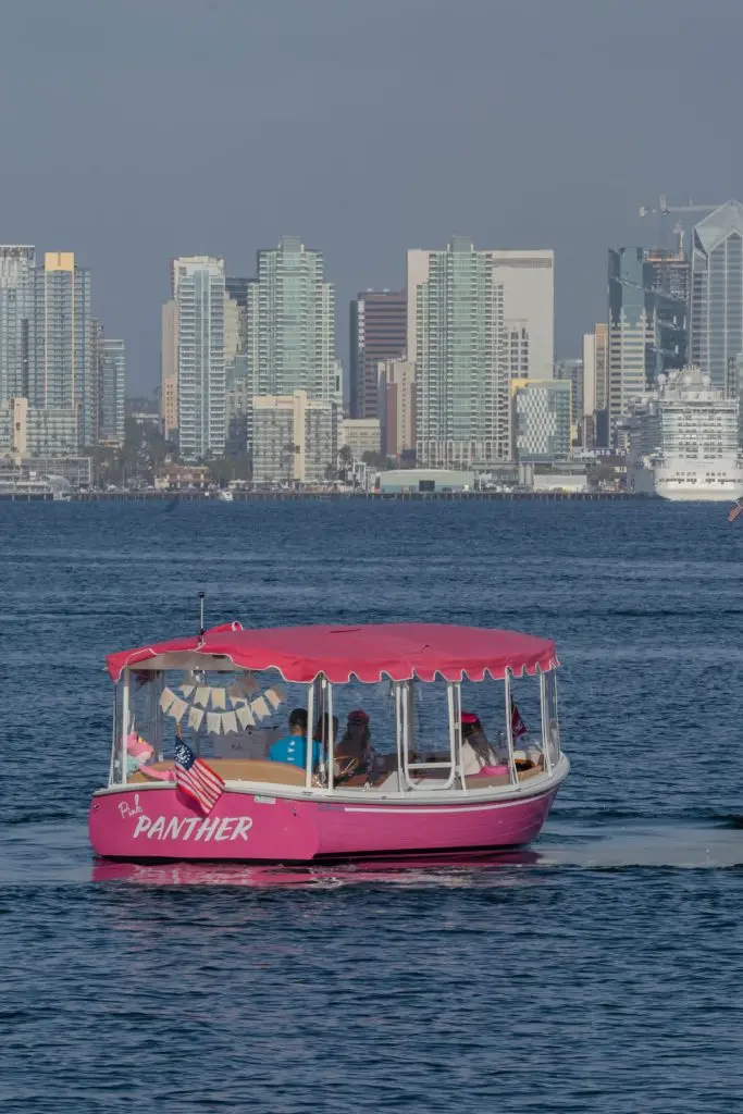 Celebrate Brilliantly: San Diego Bay Birthday Boat Rental — Eco Boat Rentals San Diego